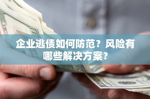 武汉企业逃债如何防范？风险有哪些解决方案？