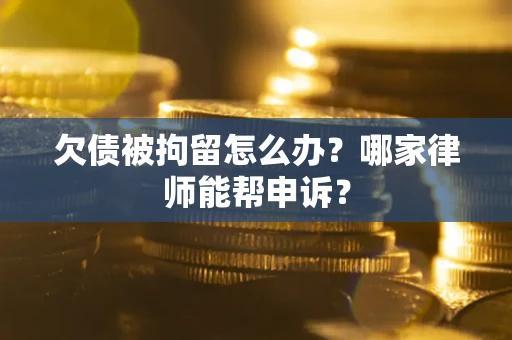武汉欠债被拘留怎么办？哪家律师能帮申诉？