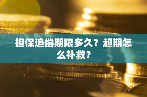 武汉担保追偿期限多久？超期怎么补救？
