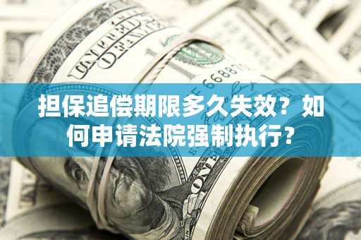 武汉担保追偿期限多久失效？如何申请法院强制执行？